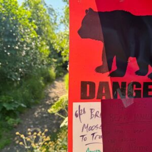 73 yasindaki kadina ayi saldirdi ti2An2Bu