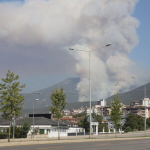 denizlide orman yangini bir supheli gozaltinda 5IDbnVkL