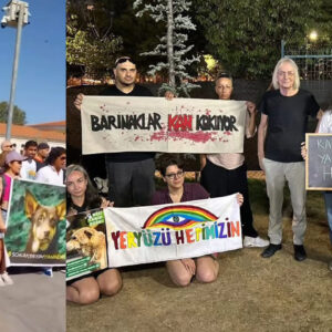 sokak kopekleri icin valilikte protesto yavasogullarindan kadikoyde destek kDCW4f9e