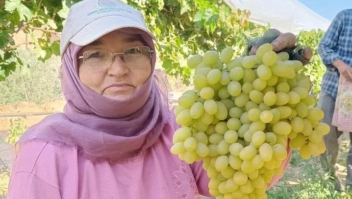 sarigolde yas uzum piyasasi hareketlendi BOIMJ5y9