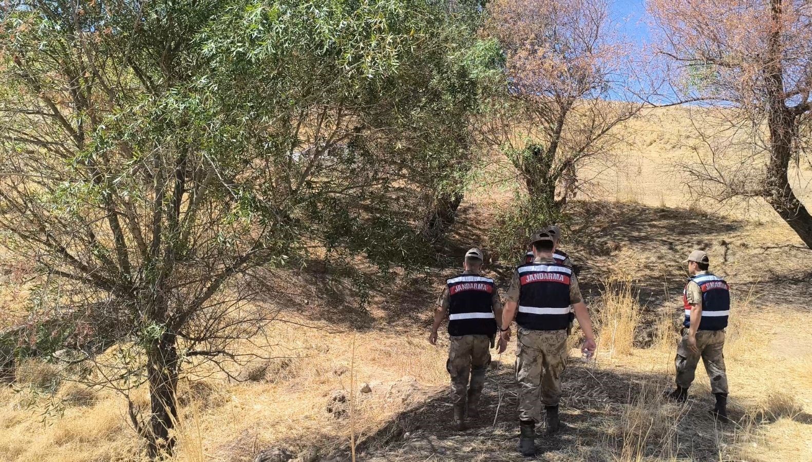 siirtte kayip alzheimer hastasi 9 gundur araniyor tDOx9kbD