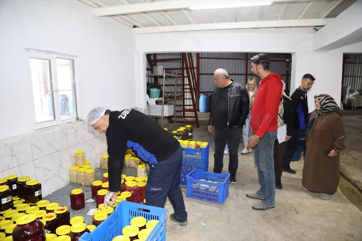 cubukta tursu uretimine denetim YYO4TwZH