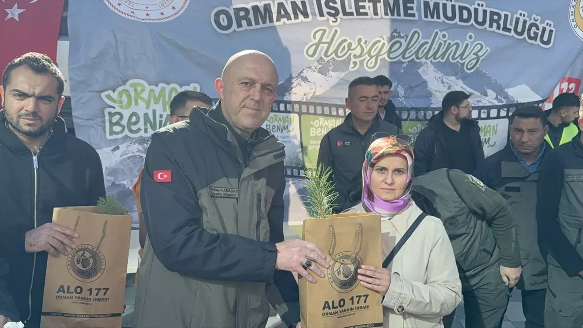 yozgatta ucretsiz fidan dagitimi Zi2cKSu9.jpg