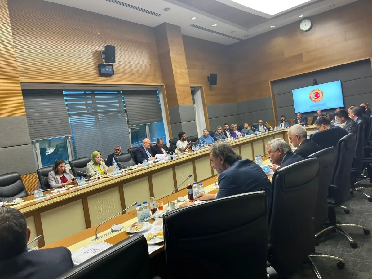 engelli bireylerin sorunlari tbmm komisyonunda ele alindi PiMINUrW.jpg