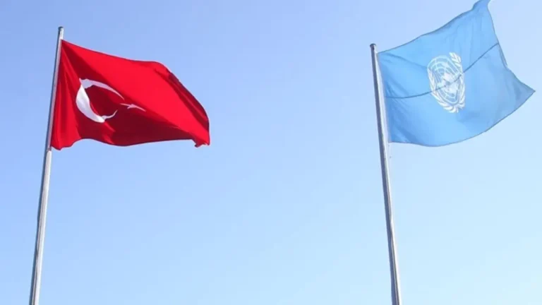 bmden-turkiyeye-uyari-avukatlar-ve-insan-haklari-savunuculari-sistematik-olarak-hedef-aliniyor-R7X5m7Zk
