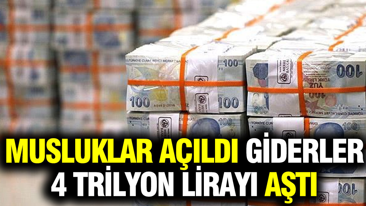 Rekor Bütçe Harcaması: Vatandaşın Katkısıyla Gelirler Yükseldi