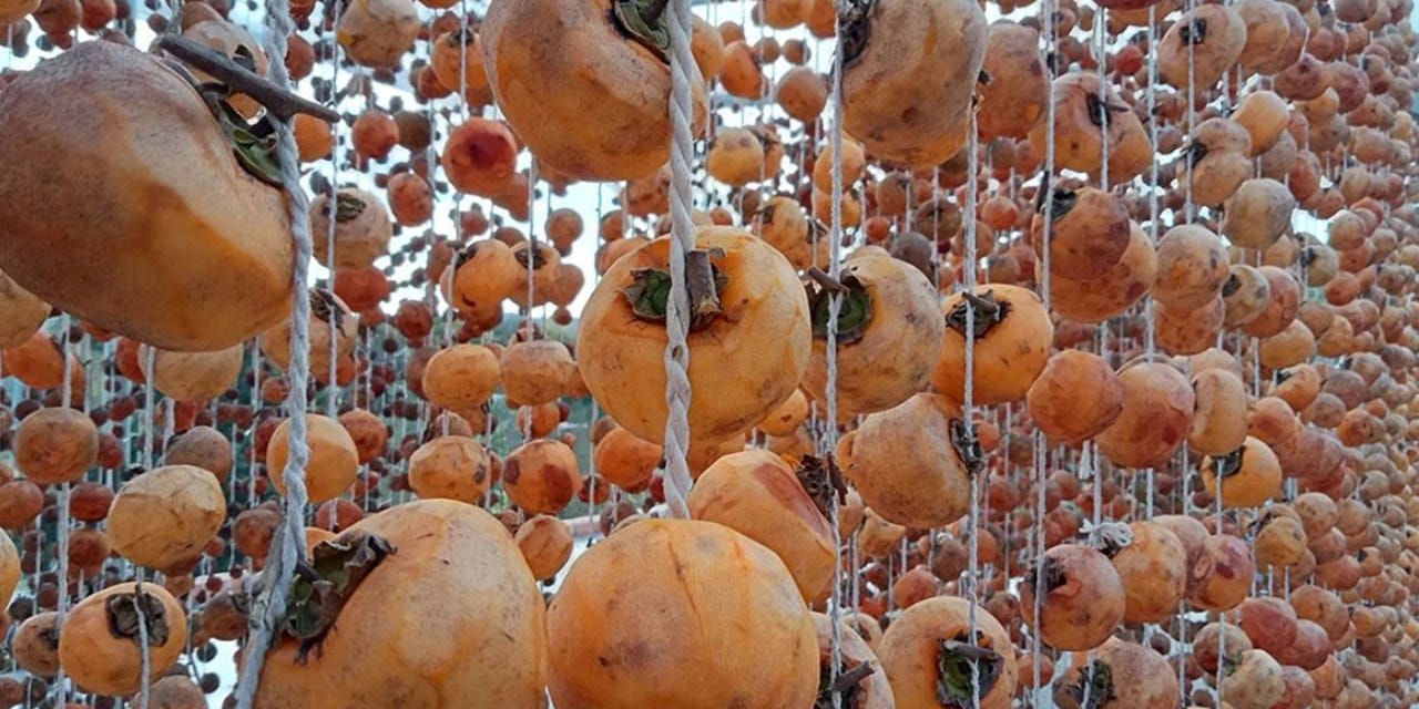 Türkiye’nin Tarım Stratejisi Azerbaycan’da Başarıya Ulaşıyor: Raf Ömrü Uzuyor