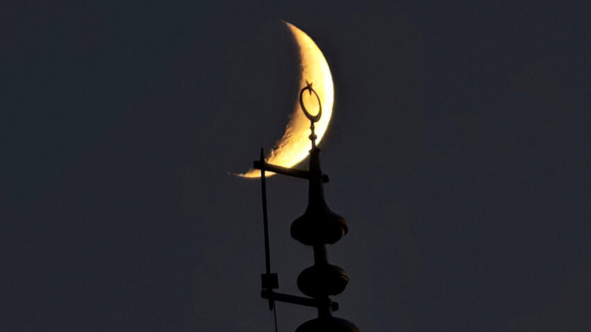Img